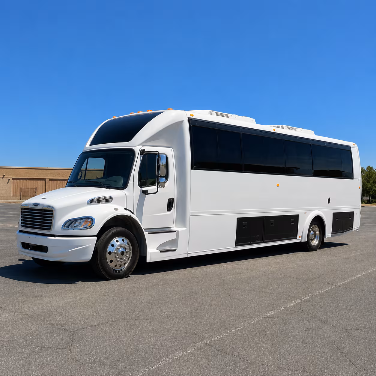Group beside a Mercedes Sprinter limo in Hampton