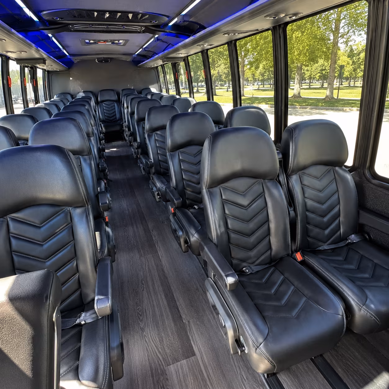 Alexandria School Event & Field Trip Transportation