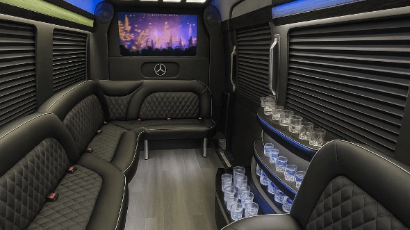hampton 14 passenger sprinter limousine interior
