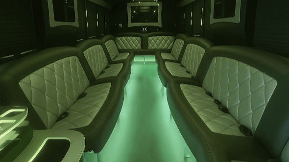 hampton 20 passenger party bus rental