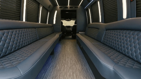 hampton 30 passenger party bus rental