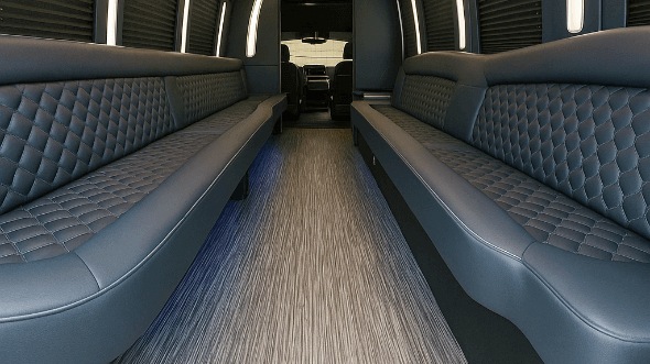 hampton 50 passenger party bus rental